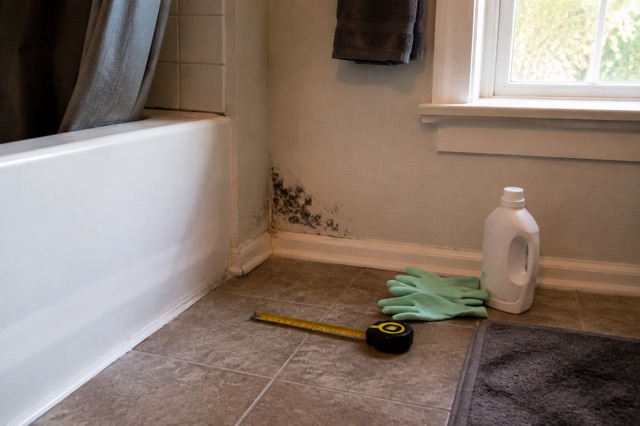 A small patch of surface mold beside a bathtub with gloves and a tape measure nearby
